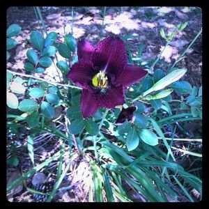 10% discount on bundles